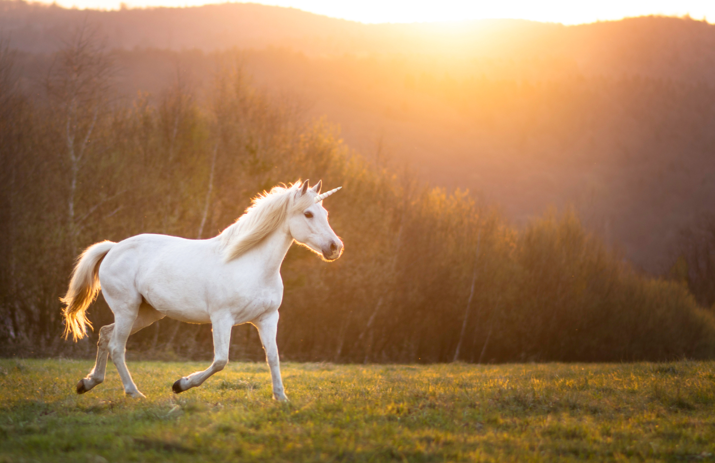 3 Grant Writing Myths to Avoid for a Strong Grant Proposal - Spark 